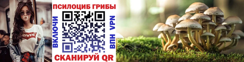 Псилоцибиновые грибы мицелий  Купить  Сычёвка 